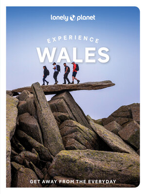 cover image of Lonely Planet Experience Wales